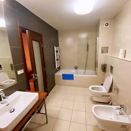 Golden Fish Xia Апарт-отель Пльзень