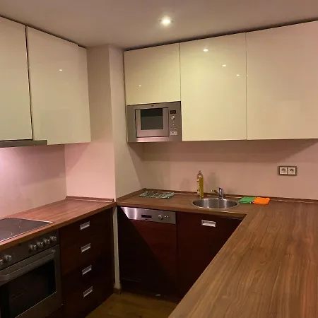 شقة فندقية Golden Fish Xia بلزن