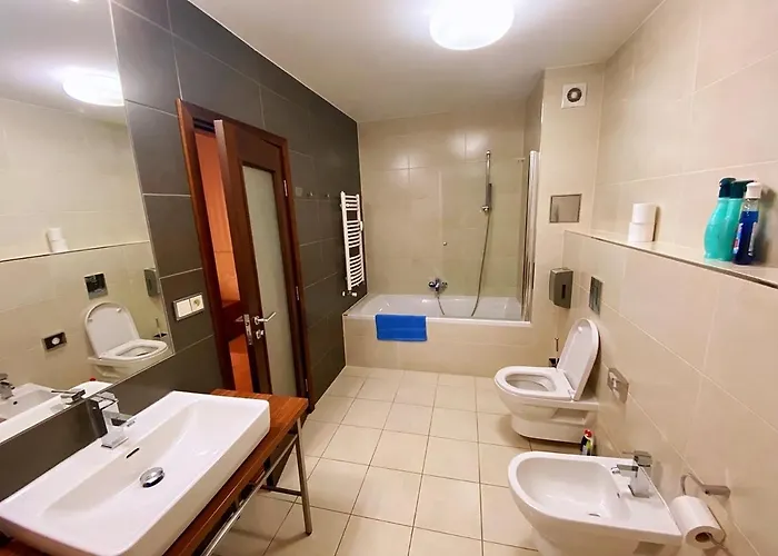 Golden Fish Xia Lejlighedshotel Plzeň