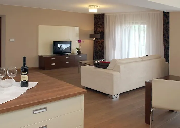 Golden Fish Xia アパートホテル プルゼニ