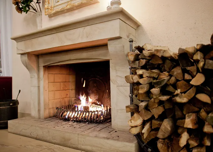 Golden Fish Xia Lägenhetshotell Plzeň